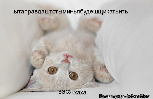 Котоматрица: вася ытаправдаштотыминьябудешщикатьить хаха