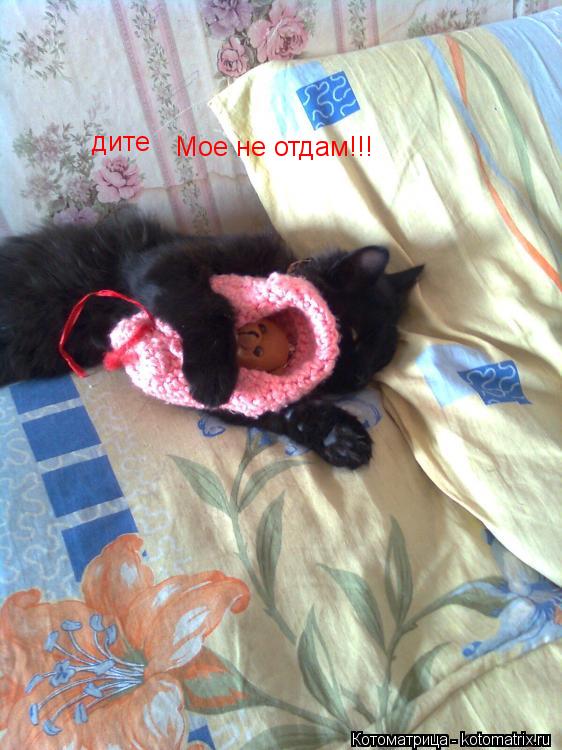 Котоматрица: Мое не отдам!!! дите