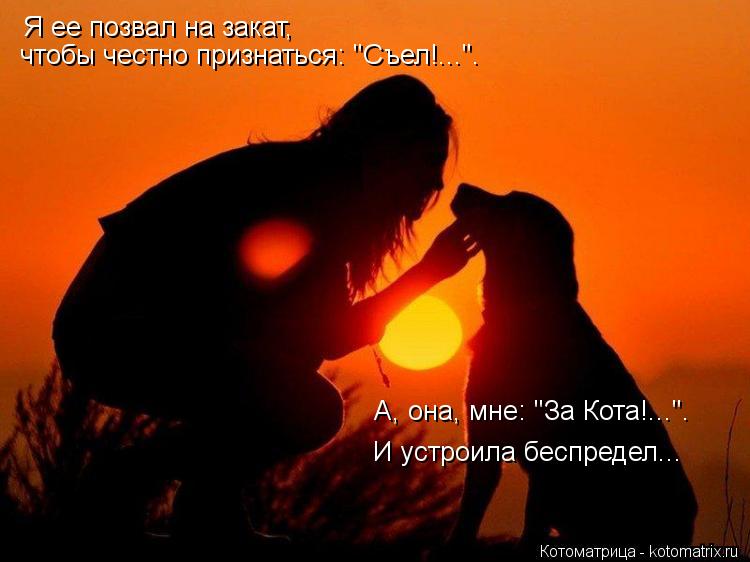 Котоматрица: Я ее позвал на закат, чтобы честно признаться: "Съел!...". А, она, мне: "За Кота!...". И устроила беспредел...