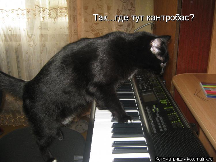 Котоматрица: Так...где тут кантробас?