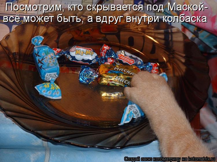 Посмотрим, кто скрывается под Маской- всё может быть, а вдруг внутри колбаска... Котоматрица: Посмотрим, кто скрывается под Маской- всё может быть, а вдруг внутри колбаска