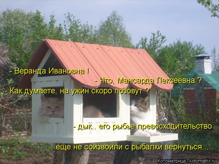 Котоматрица: - Веранда Ивановна ! - Что, Мансарда Лексеевна ? - Как думаете, на ужин скоро позовут ?  - дык.. его рыбье превосходительство еще не соизвоили с р