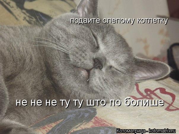 Котоматрица: подаите слепому котлетку не не не ту ту што по болише