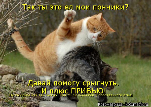 Котоматрица: Так ты это ел мои пончики?  Давай помогу срыгнуть.  И плюс ПРИБЬЮ! Ну сынишка как так можно? Красть 12 пончиков у собственного отца!