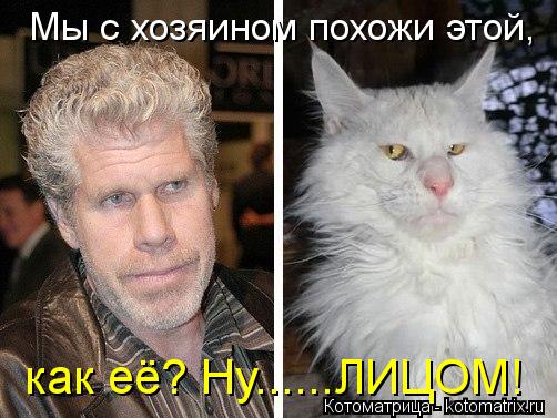Котоматрица: Мы с хозяином похожи этой, как её? Ну......ЛИЦОМ!