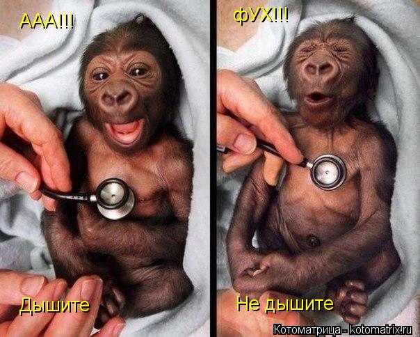 Котоматрица: Дышите Не дышите ААА!!! фУХ!!!