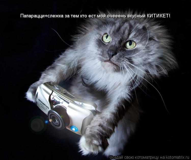 Котоматрица: Папарацци+слежка за тем кто ест мой очееень вкусный КИТИКЕТ!