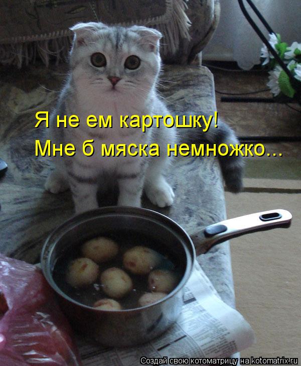 Котоматрица: Я не ем картошку! Мне б мяска немножко...