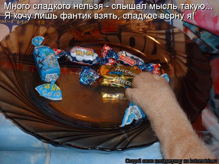 Котоматрица: Много сладкого нельзя - слышал мысль такую... Я хочу лишь фантик взять, сладкое верну я!