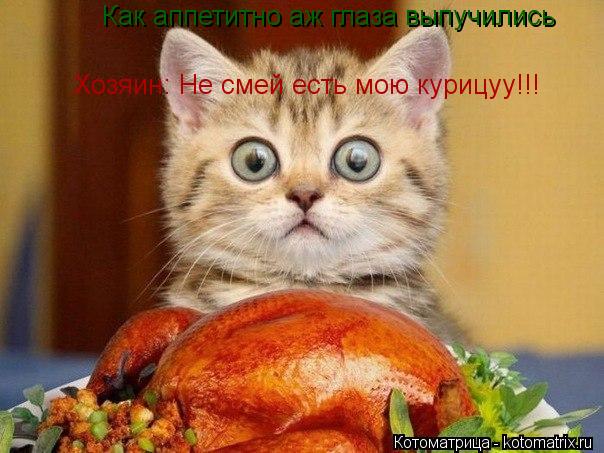 Котоматрица: Как аппетитно аж глаза выпучились Хозяин: Не смей есть мою курицуу!!!