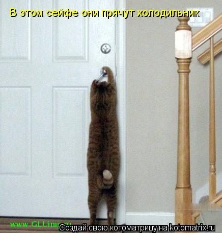 Котоматрица: В этом сейфе они прячут холодильник