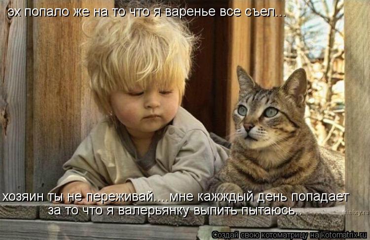 Котоматрица: эх попало же на то что я варенье все съел... хозяин ты не переживай....мне кажждый день попадает за то что я валерьянку выпить пытаюсь..