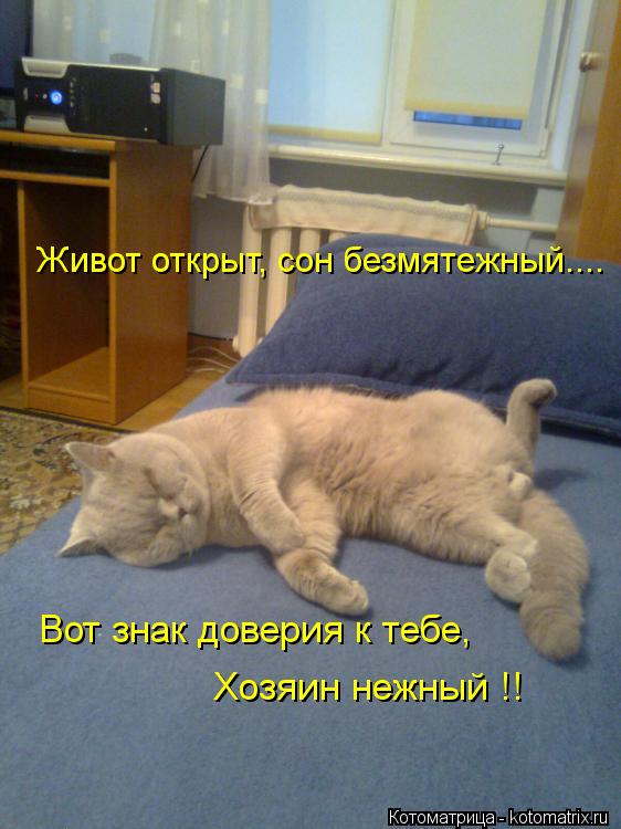 Котоматрица: Живот открыт, сон безмятежный.... Вот знак доверия к тебе,  Хозяин нежный !!