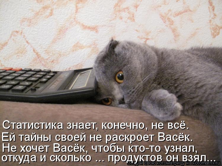 Котоматрица: Не хочет Васёк, чтобы кто-то узнал, откуда и сколько ... продуктов он взял... Ей тайны своей не раскроет Васёк. Статистика знает, конечно, не всё