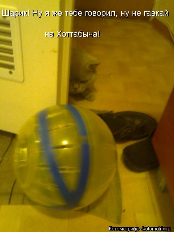Котоматрица: Шарик! Ну я же тебе говорил, ну не гавкай на Хоттабыча!