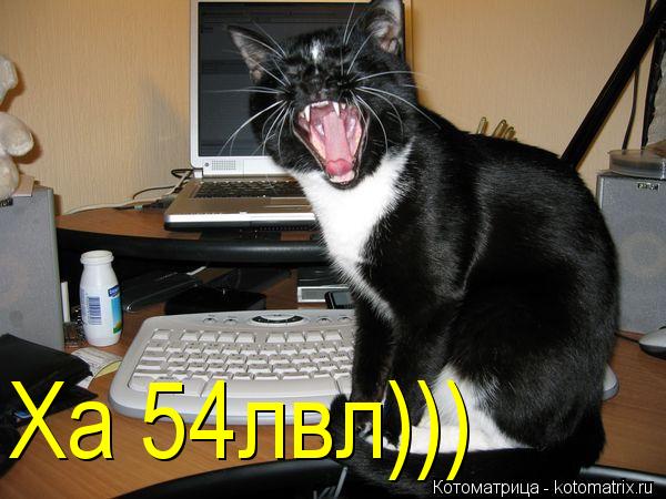 Котоматрица: Ха 54лвл)))