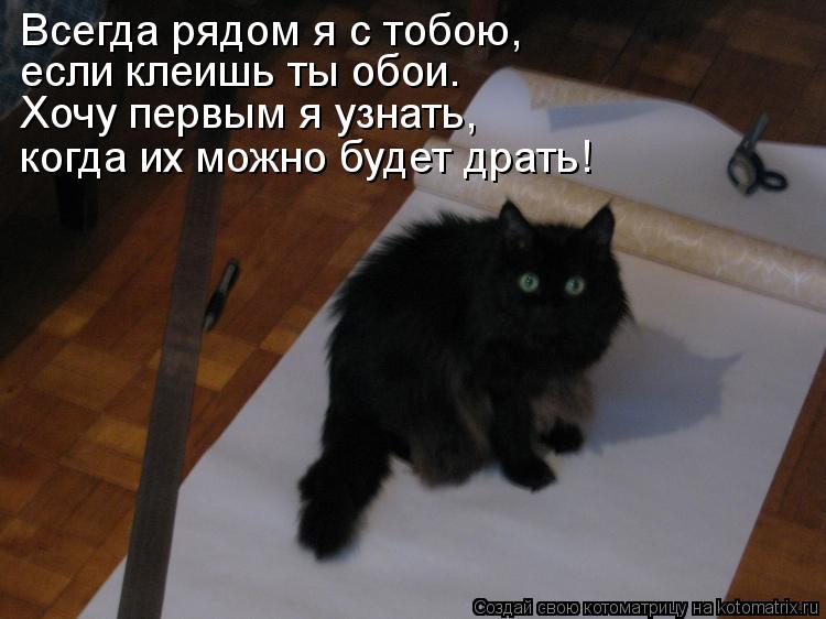Котоматрица: Хочу первым я узнать, если клеишь ты обои. когда их можно будет драть! Всегда рядом я с тобою,