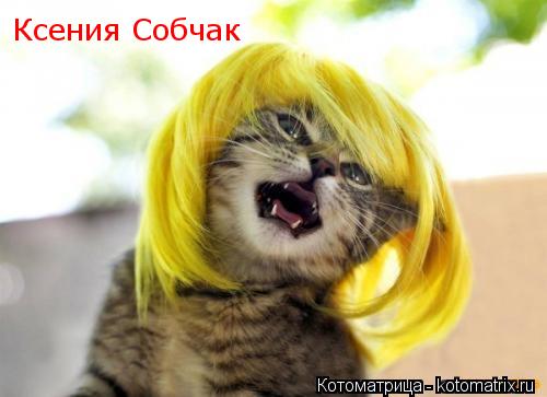 Котоматрица: Ксения Собчак
