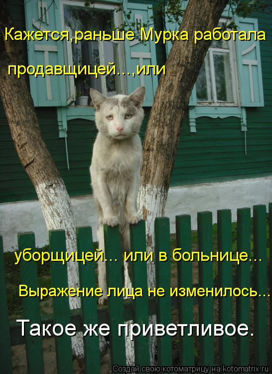 Кажется,раньше Мурка работала продавщицей...,или уборщицей... или в больнице... Выражение лица не... Котоматрица: Кажется,раньше Мурка работала продавщицей...,или уборщицей... или в больнице... Выражение лица не изменилось... Такое же приветливое.