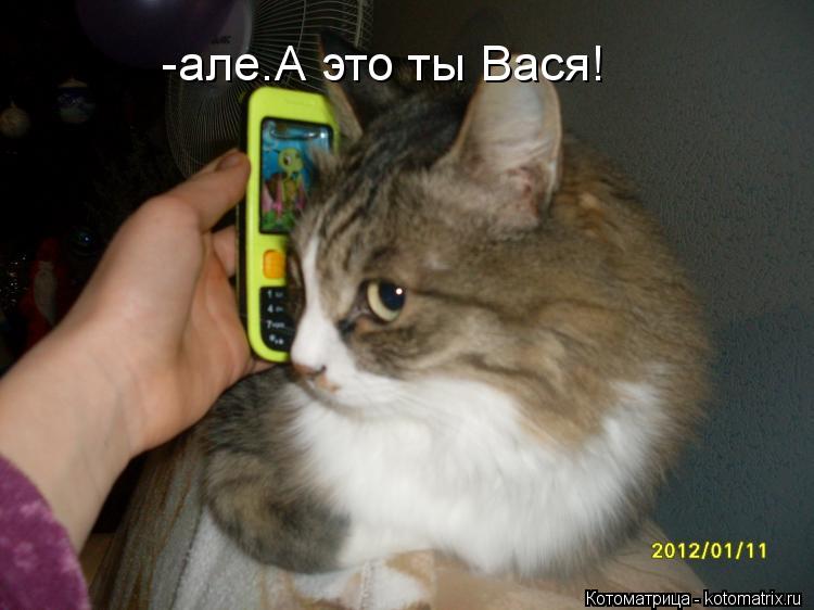 Котоматрица: -але.А это ты Вася!
