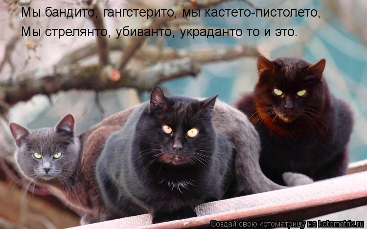 Котоматрица: Мы бандито, гангстерито, мы кастето-пистолето, Мы стрелянто, убиванто, украданто то и это.