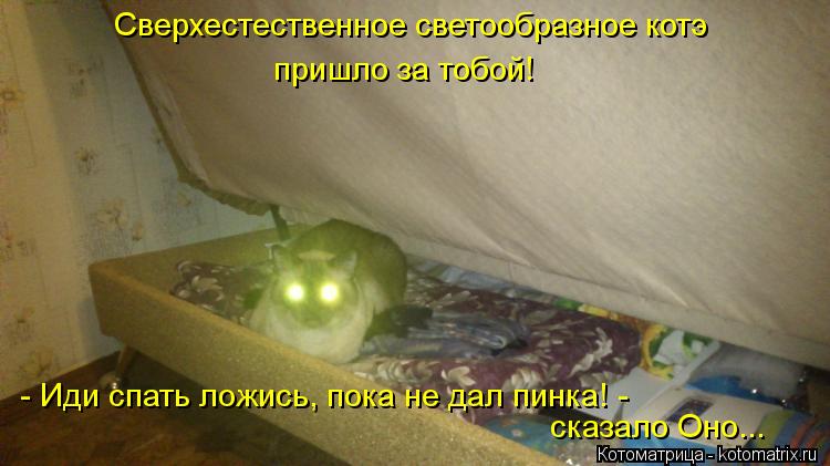 Котоматрица: Сверхестественное светообразное котэ пришло за тобой! - Иди спать ложись, пока не дал пинка! - сказало Оно...
