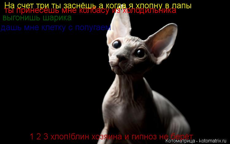 Котоматрица: На счет три ты заснёшь а когда я хлопну в лапы ты принесёшь мне колбасу из холодильника выгонишь шарика дашь мне клетку с попугаем  1 2 3 хлоп!