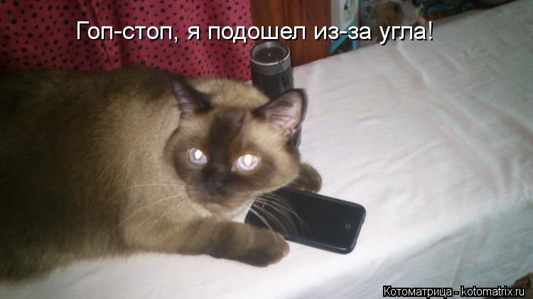 Котоматрица: Гоп-стоп, я подошел из-за угла!
