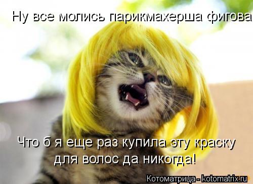 Котоматрица: Ну все молись парикмахерша фигова Что б я еще раз купила эту краску  для волос да никогда!