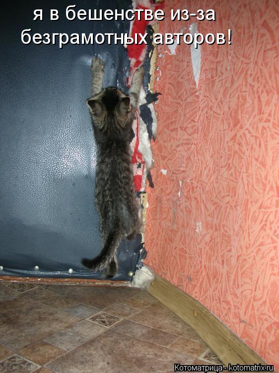 Котоматрица: я в бешенстве из-за безграмотных авторов!
