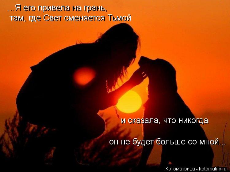 Котоматрица: ...Я его привела на грань, там, где Свет сменяется Тьмой и сказала, что никогда он не будет больше со мной...