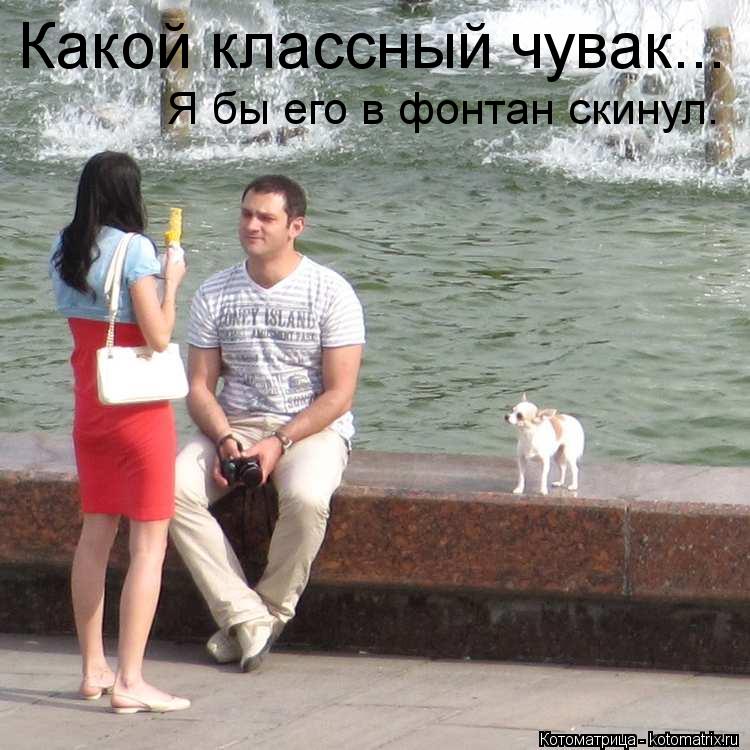 Котоматрица: Какой классный чувак... Я бы его в фонтан скинул.