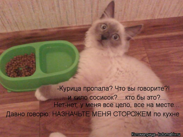 Котоматрица: -Курица пропала? Что вы говорите?!   ... и кило сосисок?....кто бы это?...  Нет-нет, у меня все цело, все на месте...  Давно говорю: НАЗНАЧЬТЕ МЕНЯ СТОР