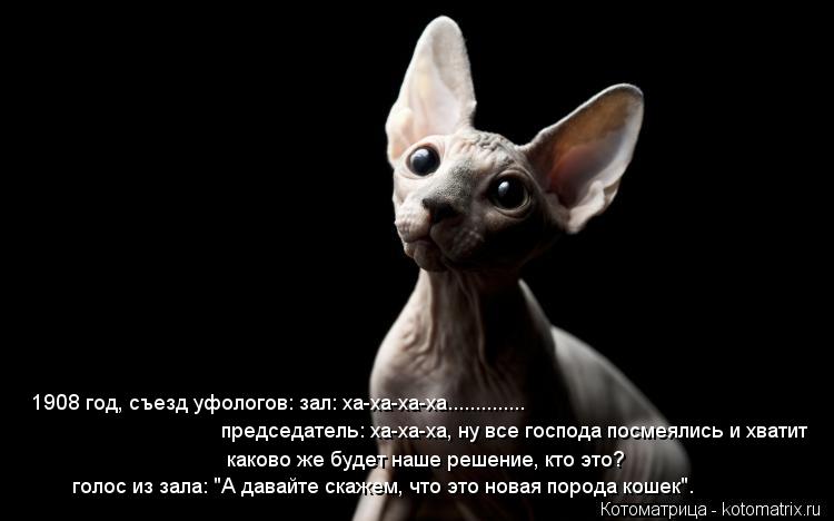 Котоматрица: 1908 год, съезд уфологов: зал: ха-ха-ха-ха.............. председатель: ха-ха-ха, ну все господа посмеялись и хватит каково же будет наше решение, кто эт