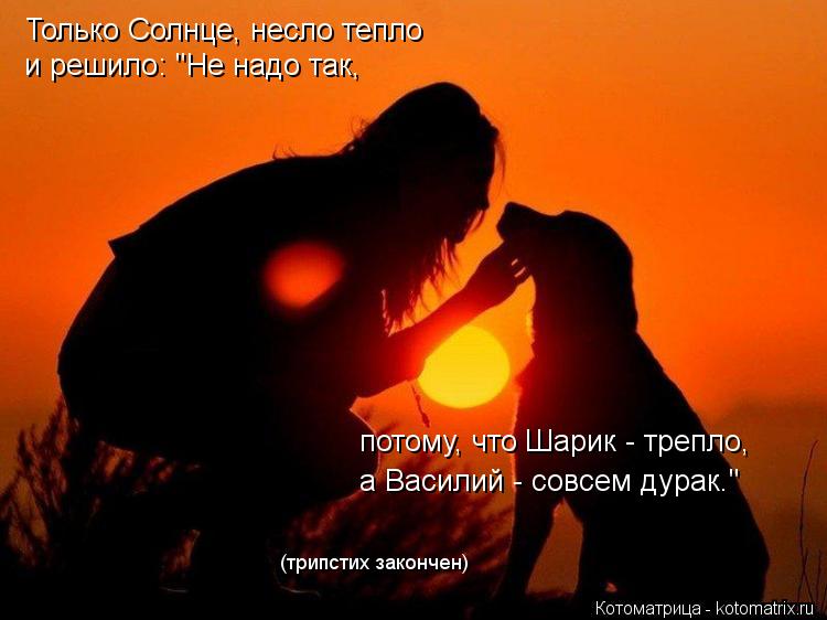 Котоматрица: Только Солнце, несло тепло и решило: "Не надо так, потому, что Шарик - трепло, а Василий - совсем дурак." (трипстих закончен)