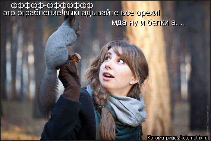 ффффф-ффффффф это ограбление!выкладывайте все орехи! мда ну и белки а....... Котоматрица: ффффф-ффффффф это ограбление!выкладывайте все орехи! мда ну и белки а....