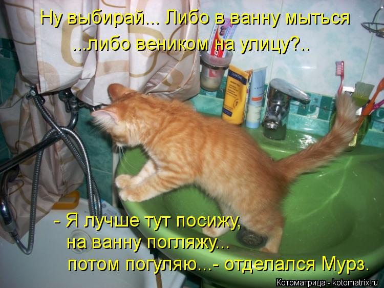 Котоматрица: Ну выбирай... Либо в ванну мыться ...либо веником на улицу?.. - Я лучше тут посижу, на ванну погляжу... потом погуляю...- отделался Мурз.