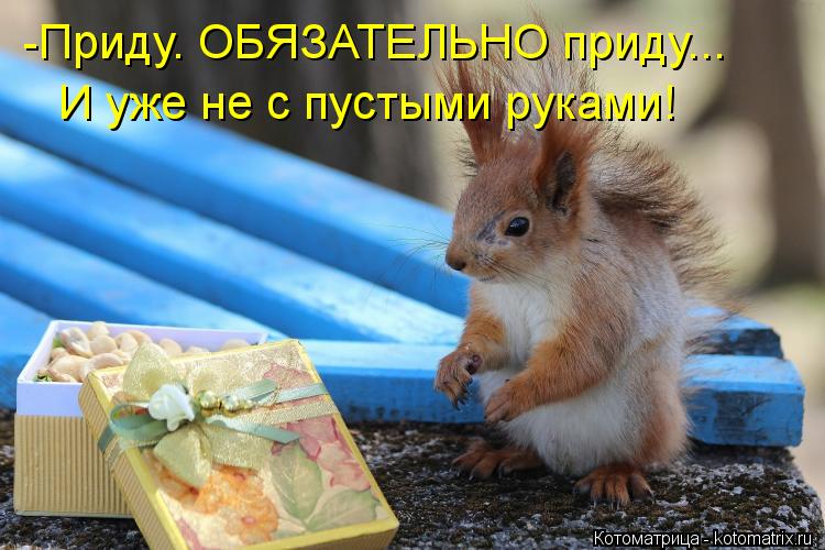 Котоматрица: -Приду. ОБЯЗАТЕЛЬНО приду... И уже не с пустыми руками!