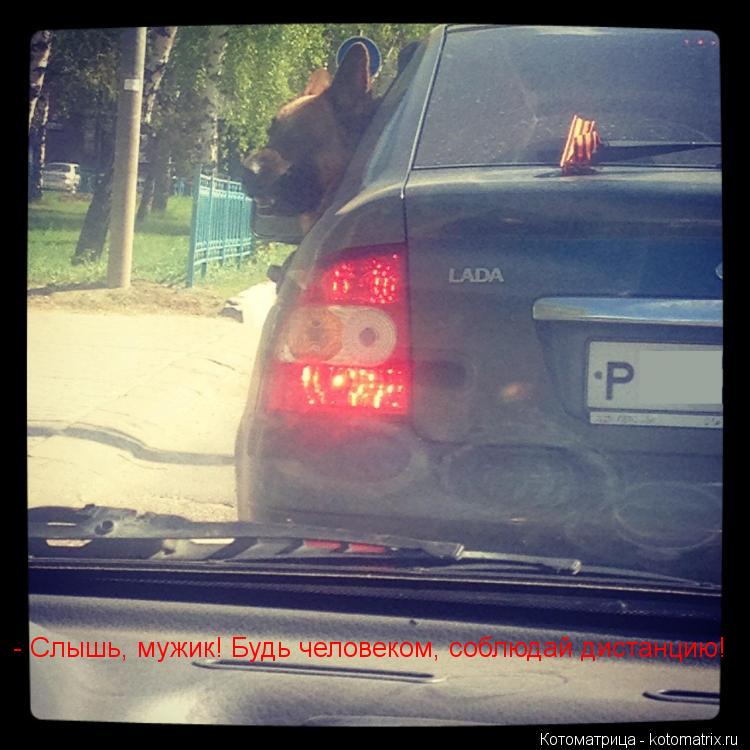 Котоматрица: - Слышь, мужик! Будь человеком, соблюдай дистанцию!