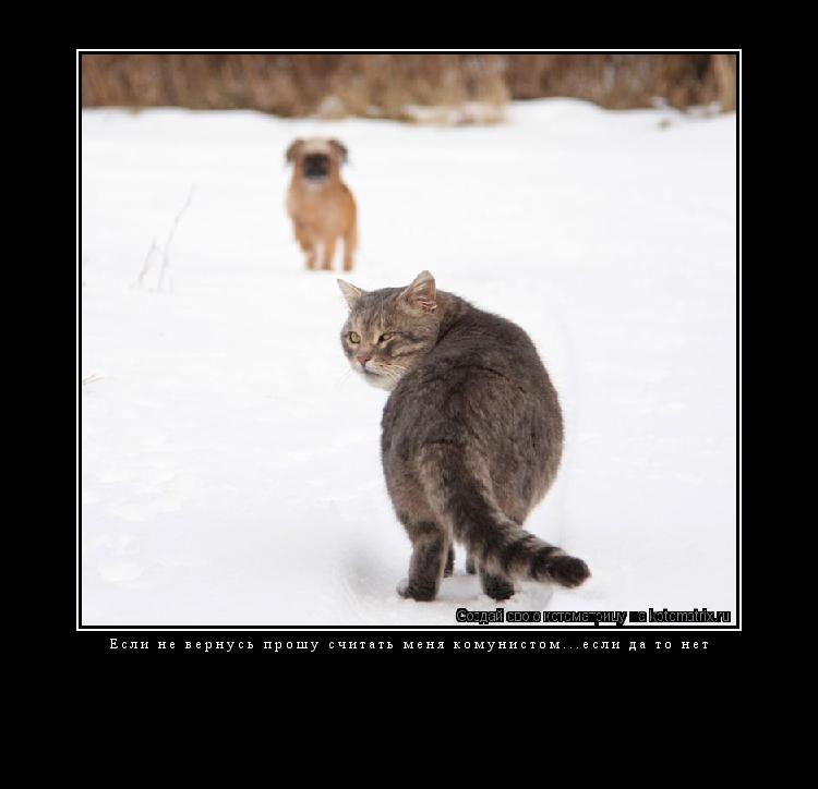 Если не вернусь прошу считать меня комунистом...если да то нет ... Котоматрица: Если не вернусь прошу считать меня комунистом...если да то нет