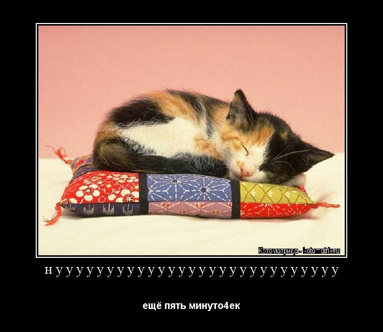 Котоматрица: нуууууууууууууууууууууууууууу                                              ещё пять минуто4ек