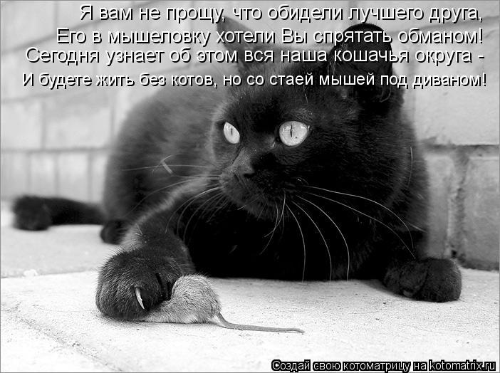 Котоматрица: Я вам не прощу, что обидели лучшего друга, Его в мышеловку хотели Вы спрятать обманом! Сегодня узнает об этом вся наша кошачья округа - И буде