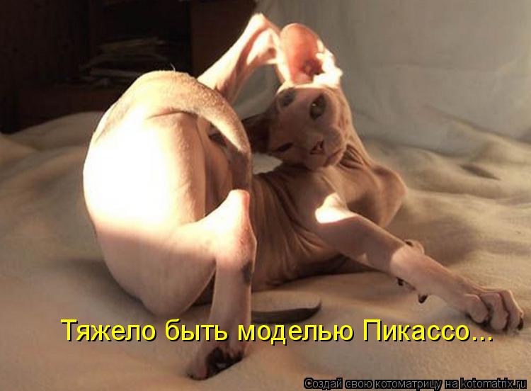 Котоматрица: Тяжело быть моделью Пикассо...