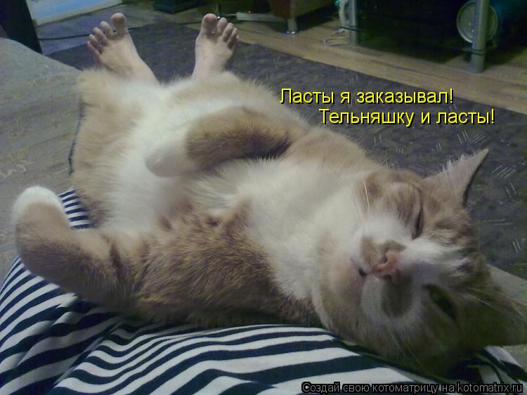 Котоматрица: Ласты я заказывал!  Тельняшку и ласты!