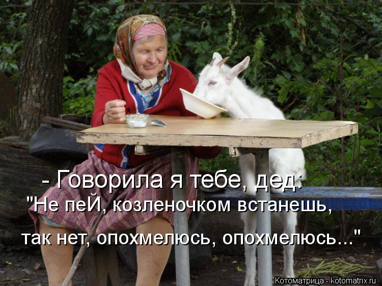 Котоматрица: - Говорила я тебе, дед: "Не пеЙ, козленочком встанешь, так нет, опохмелюсь, опохмелюсь..."