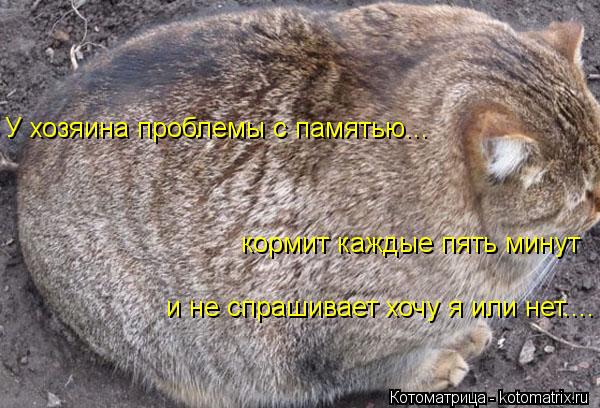 У хозяина проблемы с памятью... кормит каждые пять минут и не спрашивает хочу я или нет....... Котоматрица: У хозяина проблемы с памятью... кормит каждые пять минут и не спрашивает хочу я или нет....