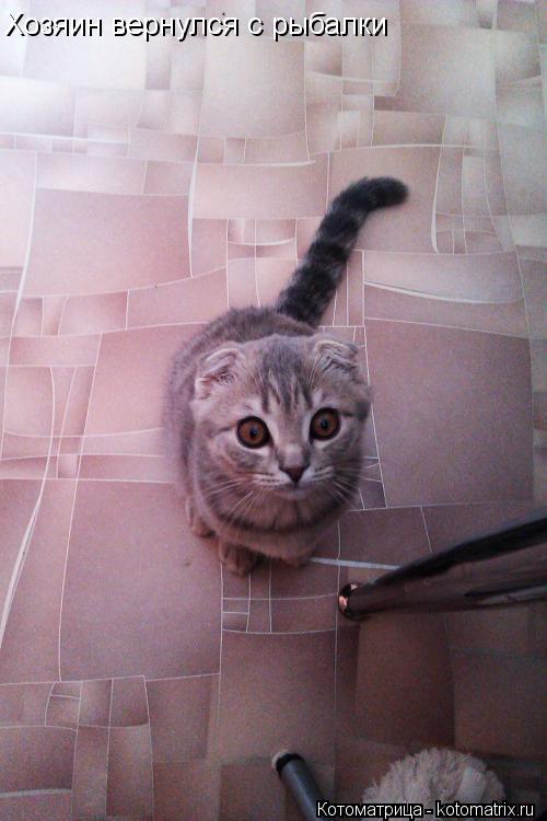 Котоматрица: Хозяин вернулся с рыбалки