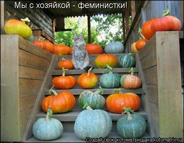 Котоматрица: Мы с хозяйкой - феминистки!