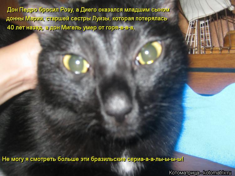 Котоматрица: Дон Педро бросил Розу, а Диего оказался младшим сыном донны Марии, старшей сестры Луизы, которая потерялась 40 лет назад, а дон Мигель умер от