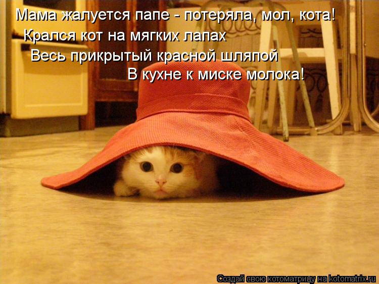 Мама жалуется папе - потеряла, мол, кота! Крался кот на мягких лапах Весь прикрытый красной шляпой В ... Котоматрица: Мама жалуется папе - потеряла, мол, кота! Крался кот на мягких лапах Весь прикрытый красной шляпой В кухне к миске молока!